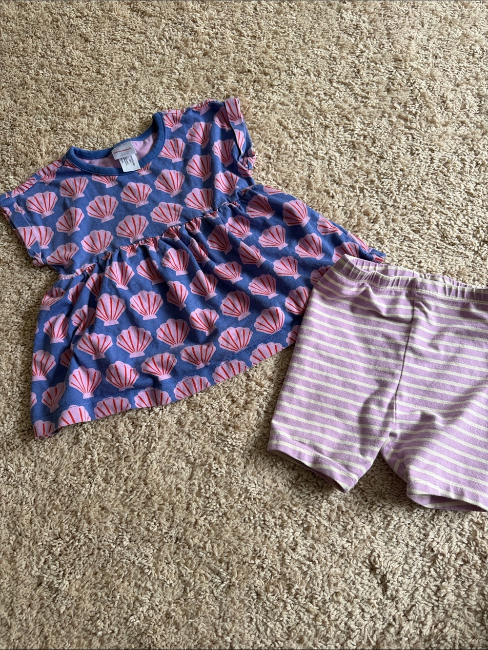 Hanna Andersson Blue Top with Pink Shell Print 3T